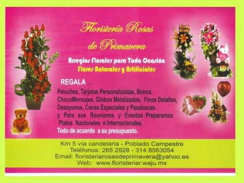 Floristeria rosas de primavera-poblado campestre via candelaria en Valle  del Cauca - Otros Servicios | 159742